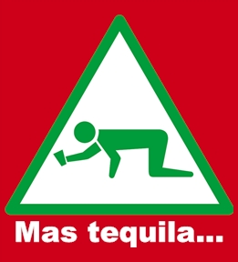 Cinco De Mayo t-shirt design 31