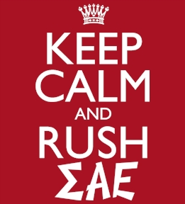 Sigma Alpha Epsilon t-shirt design 91