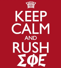 Sigma Phi Epsilon t-shirt design 90