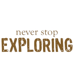 Camping t-shirt design 70