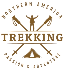 Camping t-shirt design 62